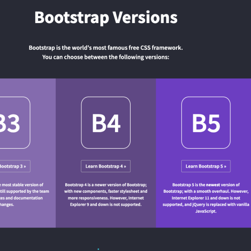 Bootstrap practise online